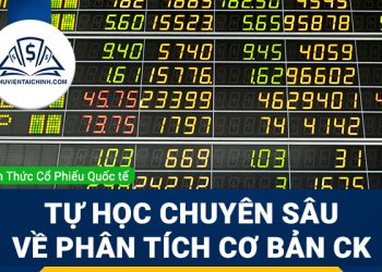 Tự học chuyên sâu về Phân tích cơ bản chứng khoán