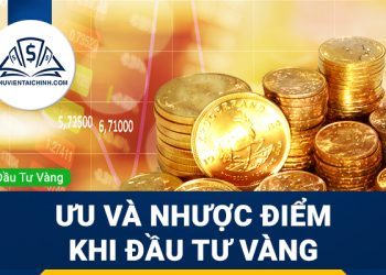 Polkadot là gì? Thông tin tổng quan về đồng DOT Coin