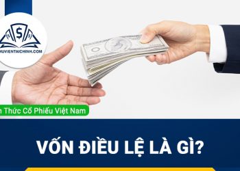Vốn điều lệ là gì? Tìm hiểu quy định về vốn điều lệ và cách tra cứu