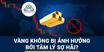 Xu hướng giao dịch vàng không bị ảnh hưởng bởi tâm lý sợ hãi