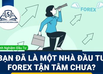 Bạn đã là một nhà đầu tư Forex tận tâm chưa?
