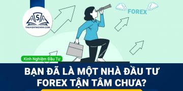 Bạn đã là một nhà đầu tư Forex tận tâm chưa?