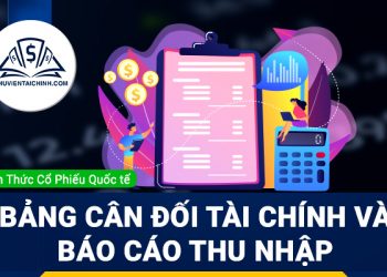 Bảng cân đối tài chính và báo cáo thu nhập của công ty