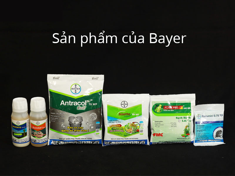 Cổ phiếu Bayer (BAYN) là gì?