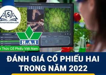 Nhận định đánh giá cổ phiếu HAI trong năm 2023