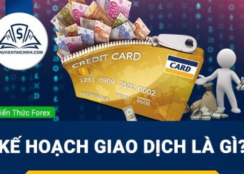 Khám phá nền kinh tế New Zealand có ảnh hưởng gì đến toàn cầu
