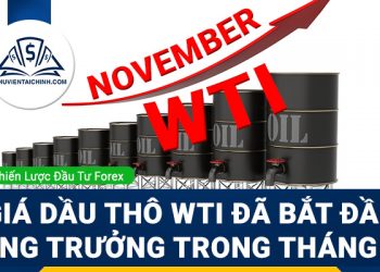 Giá dầu thô WTI đã bắt đầu tăng trưởng trong tháng 11?
