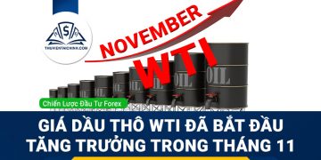 Giá dầu thô WTI đã bắt đầu tăng trưởng trong tháng 11?