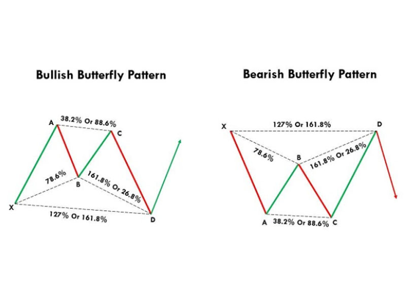 Phân loại mô hình Cánh bướm (Butterfly Pattern)