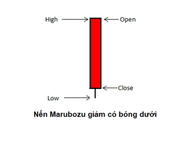 Mô hình nến Marubozu giảm giá có bóng dưới