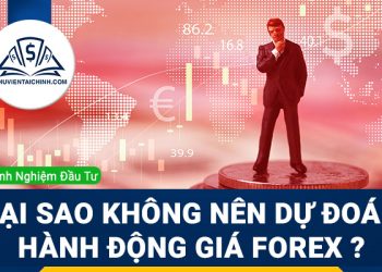 Tại sao không nên dự đoán hành động giá Forex?