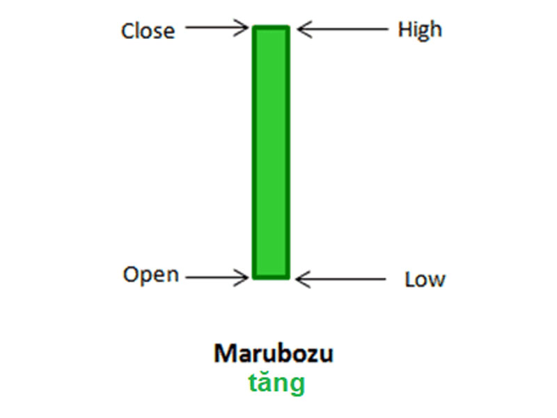 Mô hình nến Marubozu tăng (Bullish Marubozu)