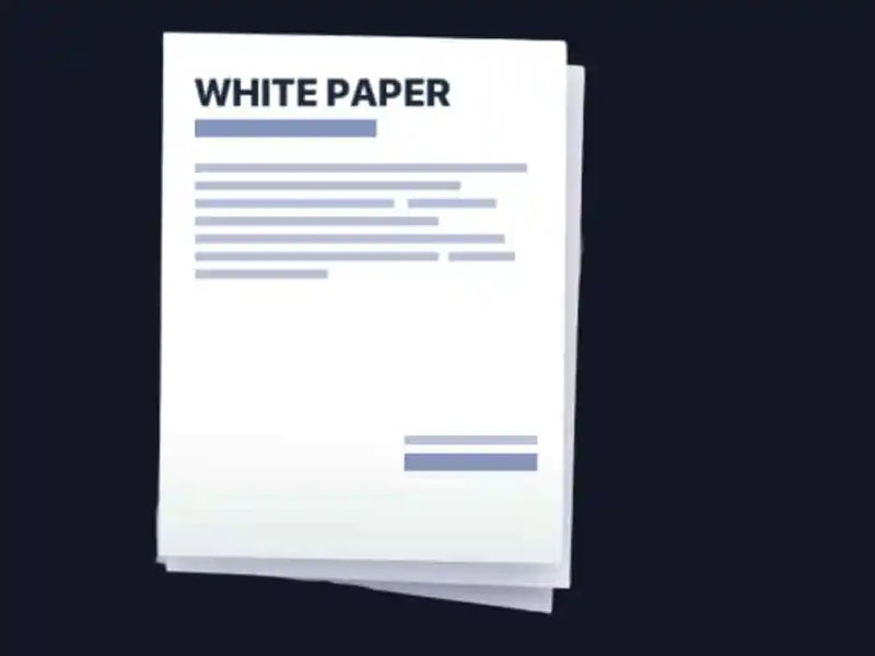 White Paper đầy đủ sẽ bao gồm những thông tin gì?